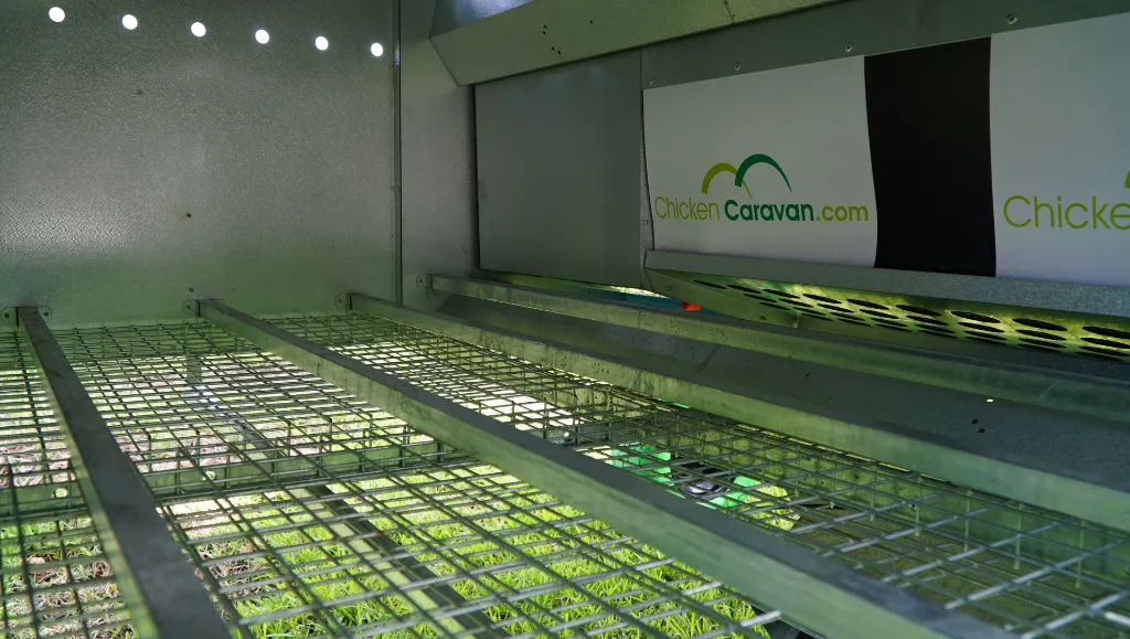 Inside-Chicken-Caravan-30