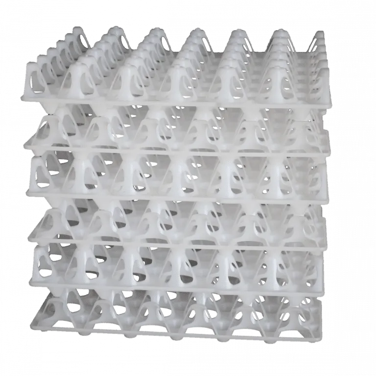 egg-tray-1-26-2022-1.webp