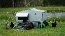 The-Chicken-Caravan-30