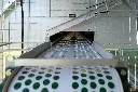 BAC06427.webp