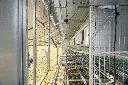 BAC06429.webp