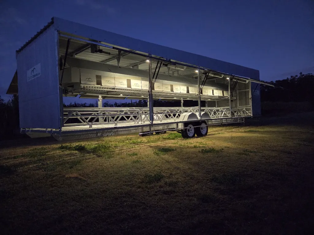 Chicken-caravan-600-lights-on-nighttime-optional-extra