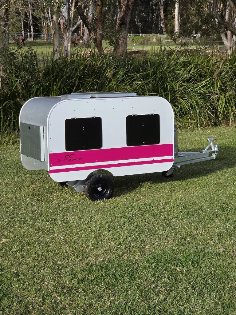 Chicken-caravan-10-window-side-pink