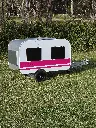 Chicken-caravan-10-window-side-pink