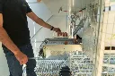 Chicken- Caravan- 600-man-collecting-eggs-conveyor-belt