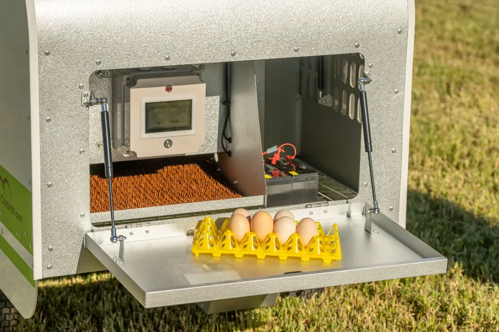 Chicken-Caravan-10-egg-collection-area