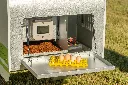 Chicken-Caravan-10-egg-collection-area