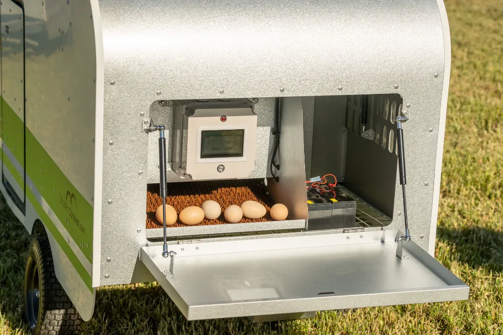 Chicken-Caravan-10-roll-away-nesting-box-clean-eggs