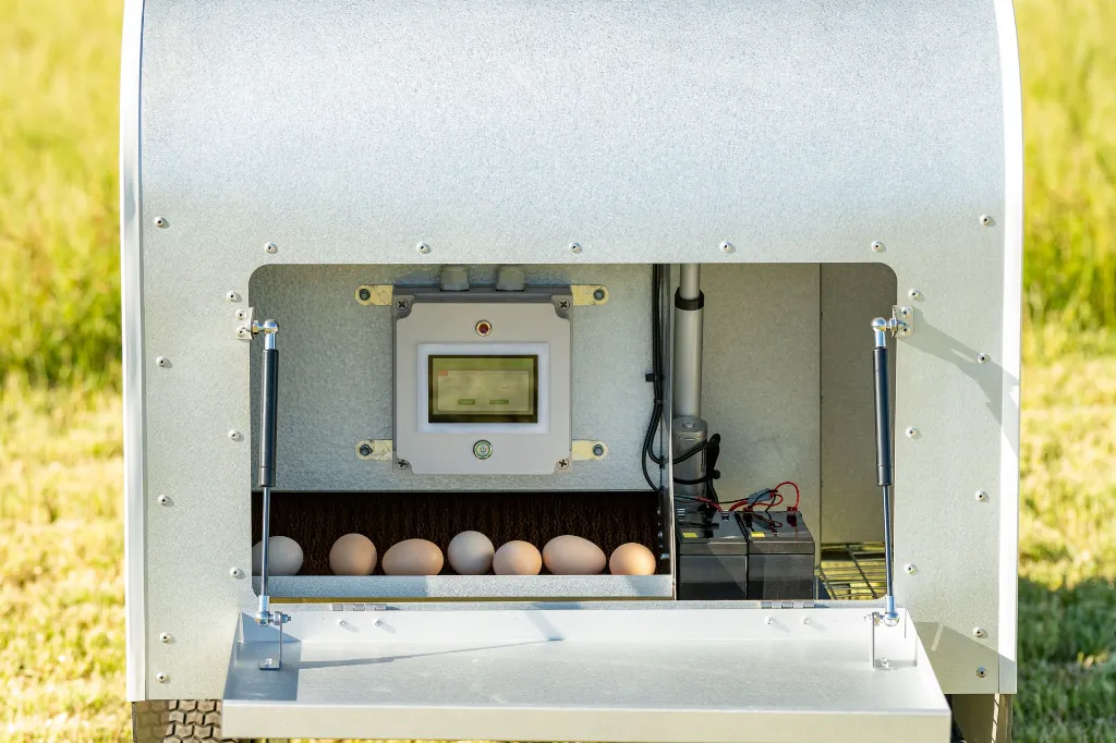 Chicken-Caravan-10-egg-collection-roll-away-nesting-box