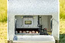 Chicken-Caravan-10-egg-collection-roll-away-nesting-box