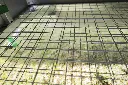 Chicken-Caravan-10-double-mesh-predator-protection