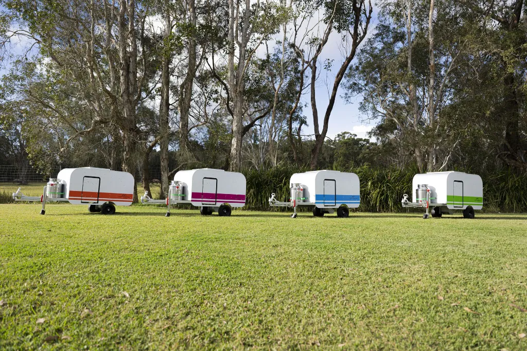 Chicken-Caravan-10-angle-orange-pink-blue-green-four-4-colours