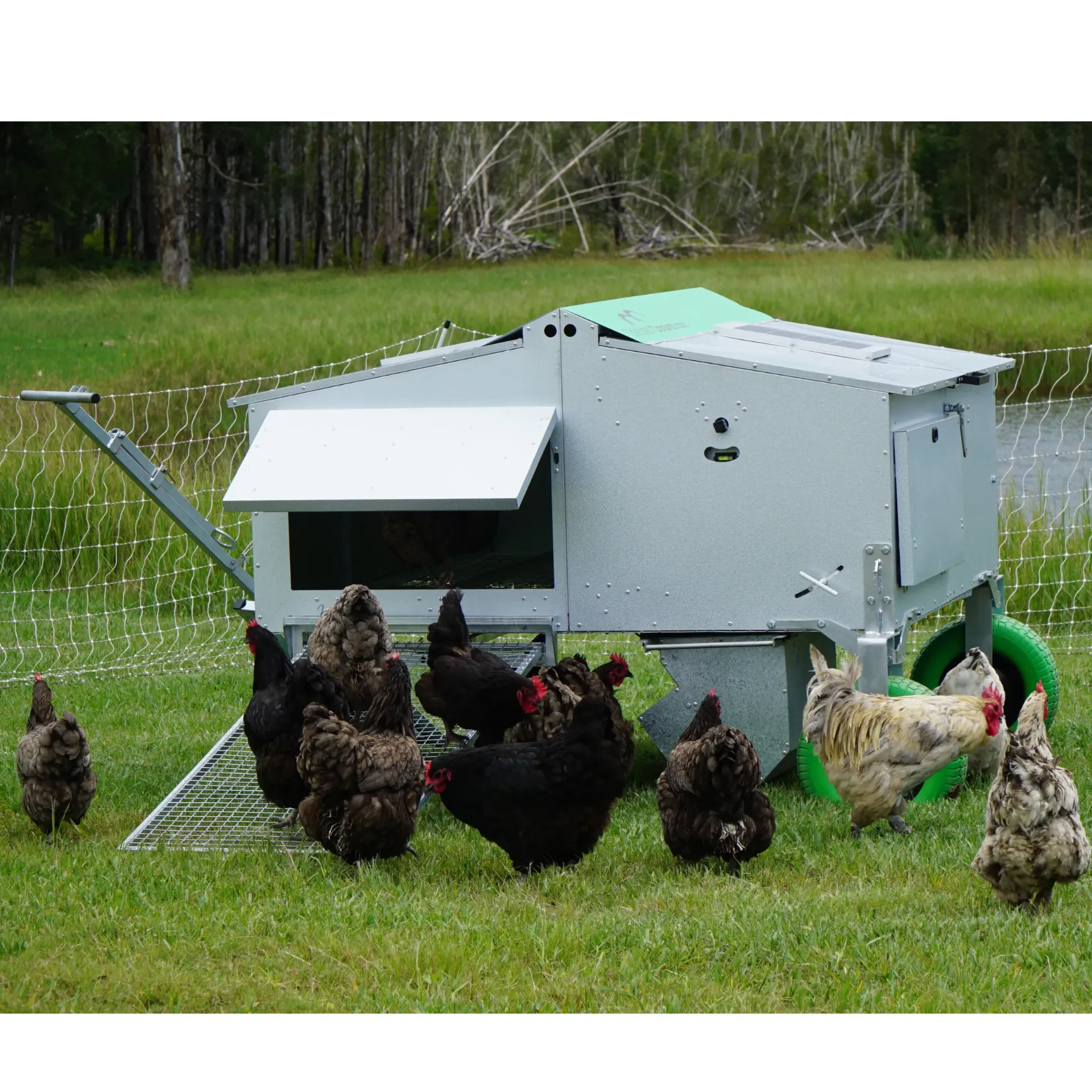 [FP CC30-5] Chicken Caravan 30 (CC30 Flat Pack)