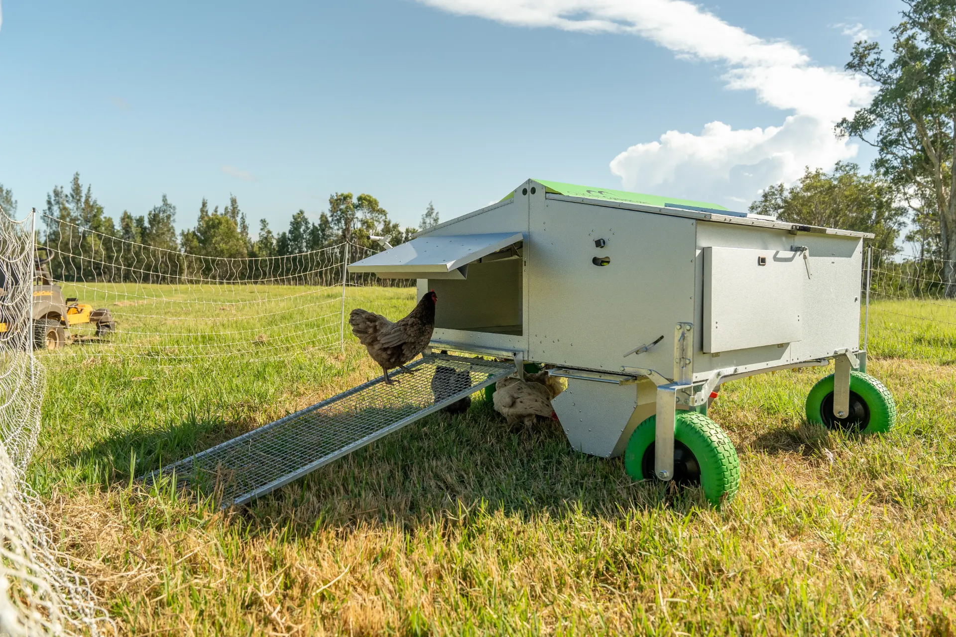 Chicken Caravan 30