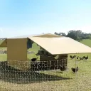 Chicken Caravan E Coops