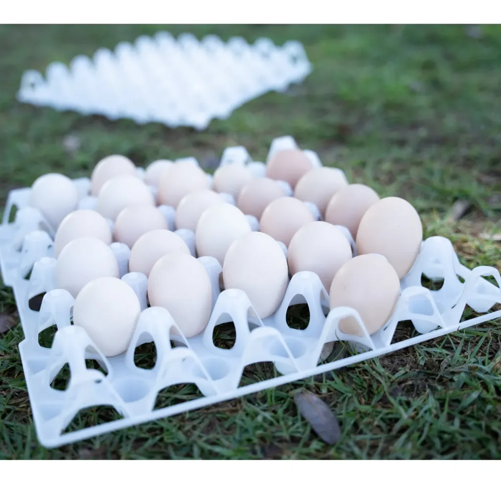 [NEW] Egg Trays - White (10 Egg Trays)