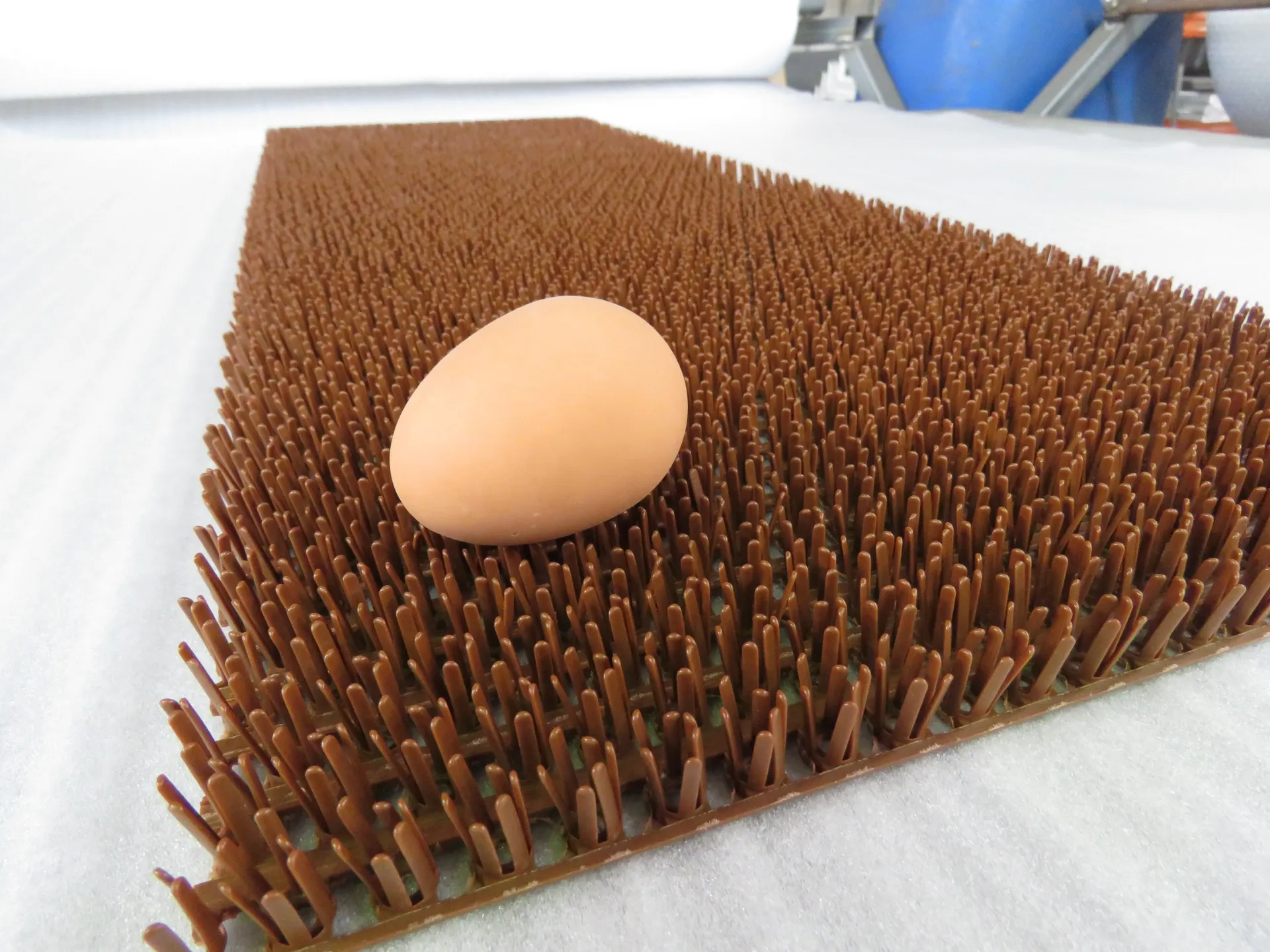 Astro Turf for Chicken Caravan