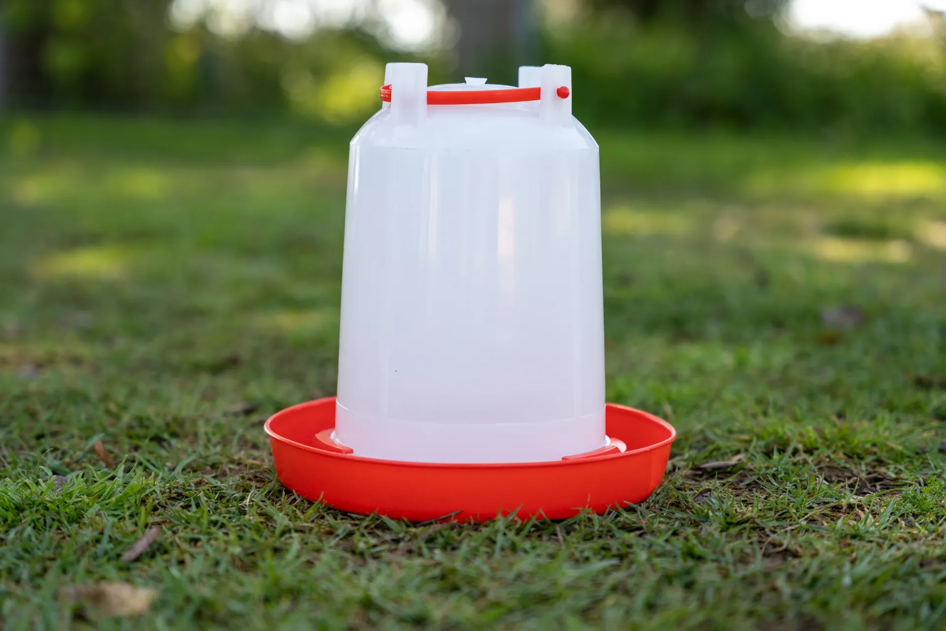 [Plastic Chick Drinker 1.5L] Plastic Chicken Drinker (Plastic Chicken Drinker 1.5L)