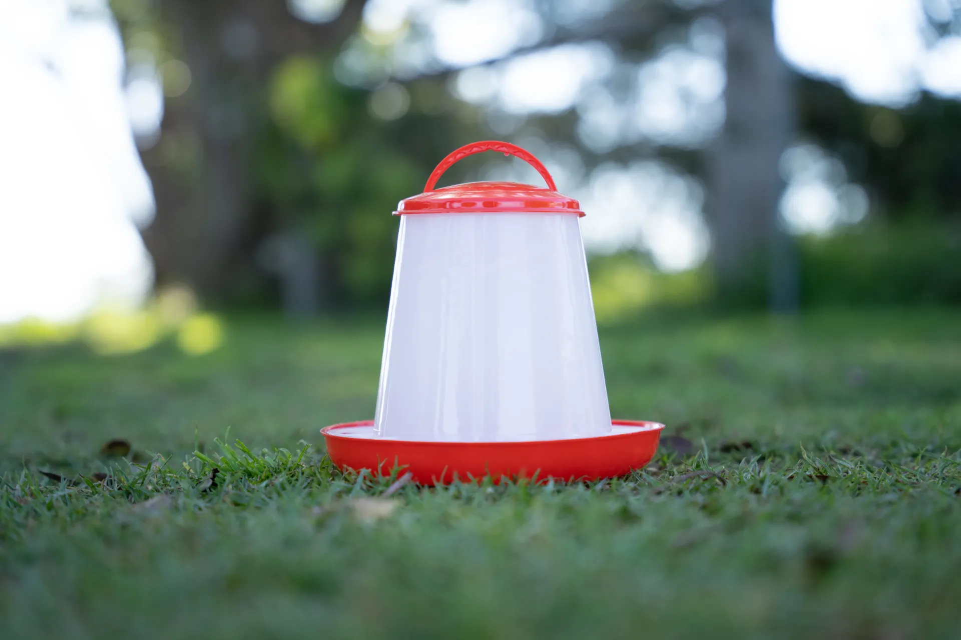 Plastic Chicken Feeder